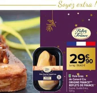 foie gras de canard 