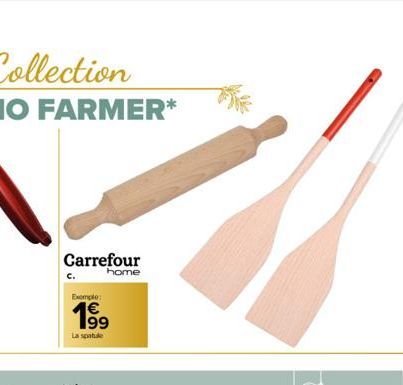 Carrefour  home  Exemple:  199⁹  La spatule 