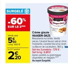 surgelés Haagen Dazs