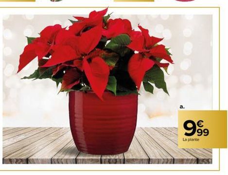 €  999  La plante 