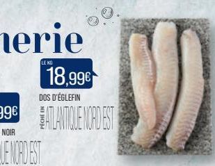 LE KG  18,99€  DOS D'ÉGLEFIN  ATLANTIQUE NORDEST 