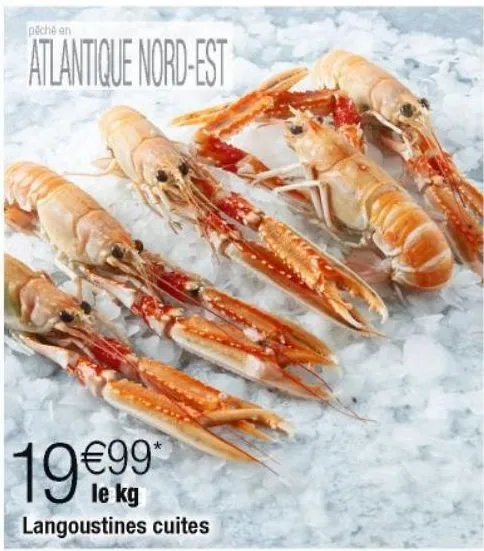 langoustine