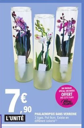 7€  ,90 l'unité  un ingrais special orchidees offert  avec cette plante  merci plantes  phalaenopsis dans verrerie 2 tiges. pot 9cm. existe en different coloris 