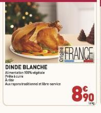 DINDE BLANCHE  Alimentation 100% végétale Pitcair Artir  Aux rayons traditionnel et libre-service  FRANCE  890  Lek 