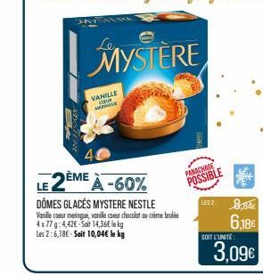 DÔMES GLACÉS MYSTERE NESTLE 