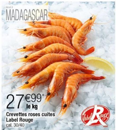 crevettes