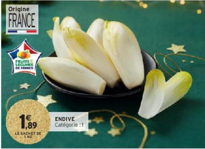 ENDIVE