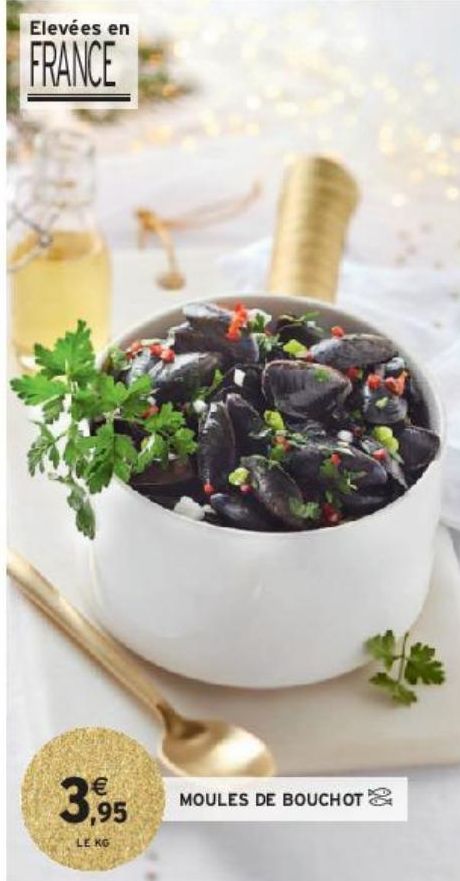 MOULES DE BOUCHOT 