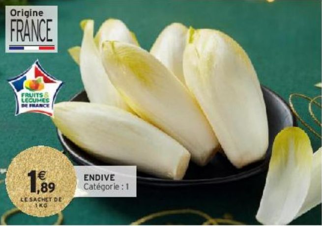 ENDIVE