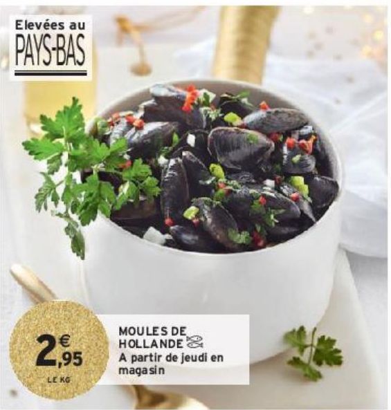 MOULES DE HOLLANDE