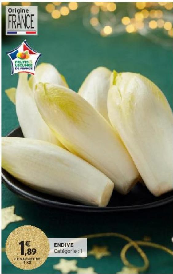 ENDIVE