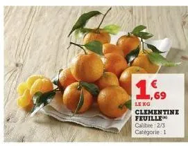 lexg  clementine feuille calibre: 2/3 categorie: 1 