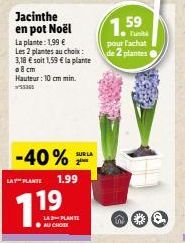 plantes Lay's