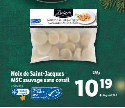 Noix de Saint-Jacques MSC sauvage sans corail  WSCHIDE  sungata MSC  PECHE DURABLE  NOTE DE SAINT JACQUE SAUVINGES SANS COA  250g  101⁹ 