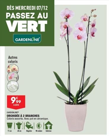 DÈS MERCREDI 07/12 PASSEZ AU  VERT  GARDENLINE  Autres coloris  999  la plant  GARDENLINE  ORCHIDÉE À 2 BRANCHES Coloris assortis. Avec pot en céramique.  11 cm  4  Real M  Interieur  