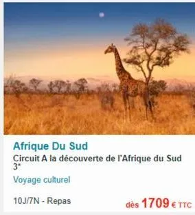 afrique du sud  circuit a la découverte de l'afrique du sud 3*  voyage culturel  10j/7n - repas  dès 1709 € ttc 