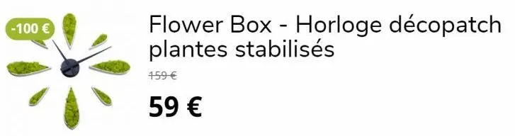 -100 €  flower box - horloge décopatch plantes stabilisés  159 €  59 €  