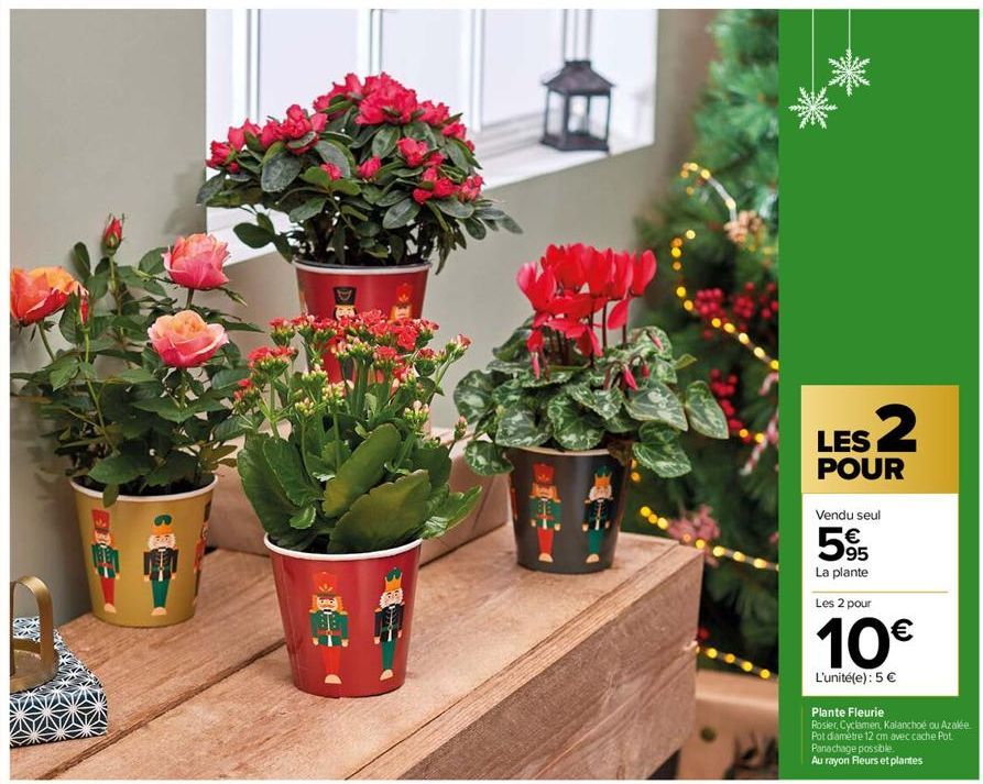 10  LES 2  POUR  Vendu seul  595  €  La plante  Les 2 pour  10€  L'unité(e): 5 €  Plante Fleurie  Rosier, Cyclamen, Kalanchoe ou Azalée  Pot diametre 12 cm avec cache Pot Panachage possible.  Au rayon