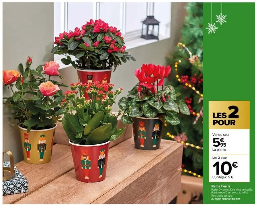 10  les 2  pour  vendu seul  595  €  la plante  les 2 pour  10€  l'unité(e): 5 €  plante fleurie  rosier, cyclamen, kalanchoe ou azalée  pot diametre 12 cm avec cache pot panachage possible.  au rayon