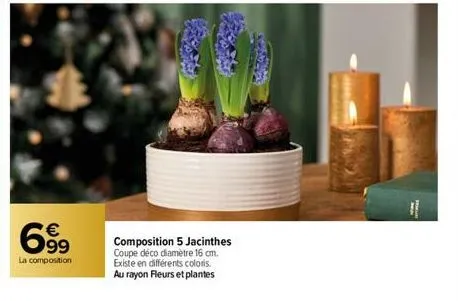 699  la composition  composition 5 jacinthes coupe déco diamètre 16 cm. existe en différents coloris. au rayon fleurs et plantes  sporges  1 