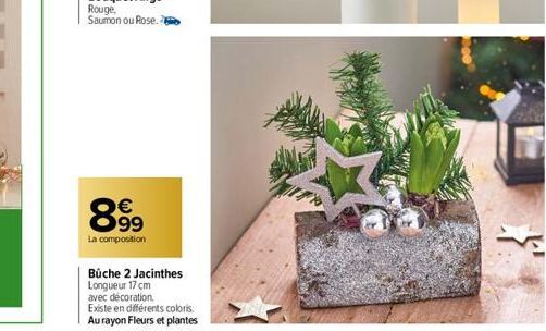 8.99  €  La composition  Büche 2 Jacinthes  Longueur 17 cm  avec décoration.  Existe en différents coloris.  Au rayon Fleurs et plantes 