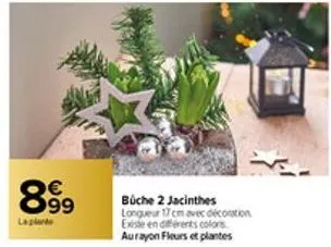 899  lapland  büche 2 jacinthes longueur 17 cm avec décoration existe en différents colors. aurayon fleurs et plantes 