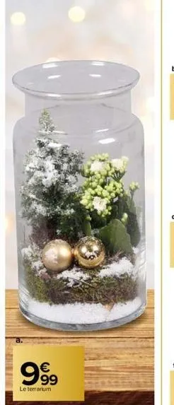 sale ridore  999  le terrarium 