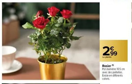 €  2,99  la plante  rosier  pot diamètre 10.5 cm avec des paillettes. existe en différents coloris. 