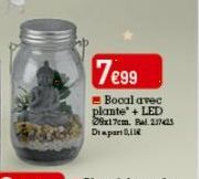 2237  7€99  Bocal avec plante + LED 29x17cm. Bal.2174s Dipart, 