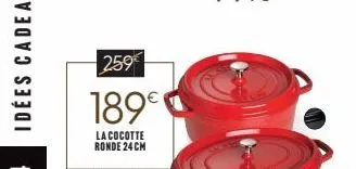 cocotte 