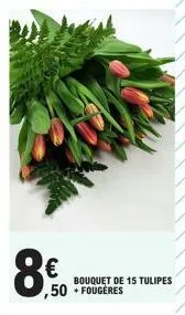 tulipes 