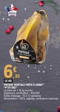 volaille francaise  buf  pintade  85  le kg  pintade végétale prête à cuire "p'tit duc"  la pièce de 1,16 kg environ organisme certificateur avicert  durée d'élevage: 10 à 12 semaines alimentation: 10