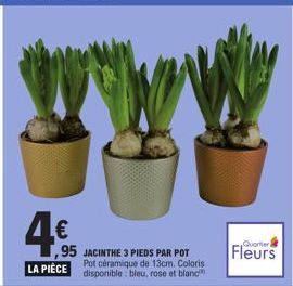 4€  ,95 JACINTHE 3 PIEDS PAR POT  Pot céramique de 13cm. Coloris  LA PIÈCE disponible: bleu, rose et blanch  Quartier  Fleurs 