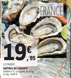 ÉLEVÉES EN  FRANCE  1995  LE PANIER HUÎTRES DE LEUCATE Calibre n°2. Le panier de 3 kg Le kg: 6,65 € 