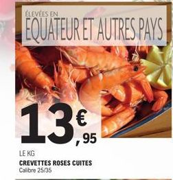 ÉLEVÉES EN  EQUATEUR ET AUTRES PAYS  13 €  LE KG CREVETTES ROSES CUITES Calibre 25/35  95 