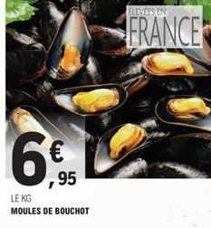 moules 