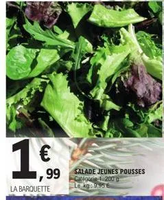 1,60  la barquette  99 salade jeunes pousses  1.200 g  le kg: 9,956 