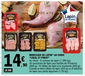 lapin 