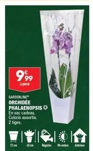 999  laplanta  gardenline orchidée phalaenopsis o en sac cadeau. coloris assortis.  2 tiges.  12cm 45cm regele mimbre la 