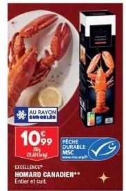 AU RAYON SURGELES  1099  150g 14 Ci  PECHE DURABLE MSC www.mt.gr  EXCELLENCE  HOMARD CANADIEN** Entier et cuit. 