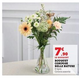 7,90  LE BOUQUET BOUQUET  COMPOSE BELLE NATURE  8 tiges  Coloris assortis 