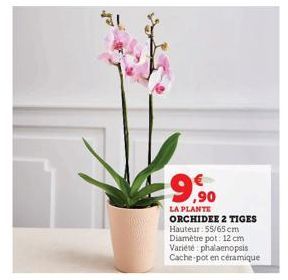 9,90  LA PLANTE ORCHIDEE 2 TIGES Hauteur: 55/65 cm  Diamètre pot: 12 cm  Variété: phalaenopsis  Cache-pot en céramique 