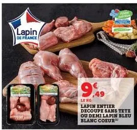 lapin 