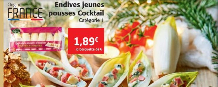 Endives jeunes pousses Cocktail 