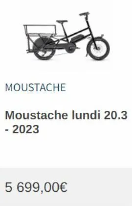 moustache  #f  moustache lundi 20.3 - 2023  5 699,00€  