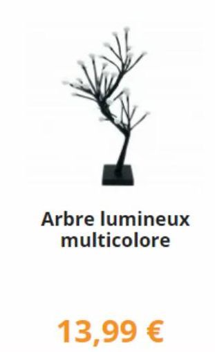 Arbre lumineux multicolore  13,99 € 