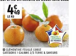 49  LE KG  CLEMENTINE FEUILLE CORSE CATÉGORIE 1 CALIBRE 2/3 TERRE & SAVEURS  FRUITS  LEGUMES  DE FRANCE 