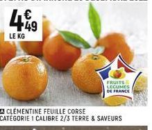 CLEMENTINE FEUILLE CORSE CATÉGORIE 1 CALIBRE 2/3 TERRE & SAVEURS  FRUITS LEGUMES  DE FRANCE 