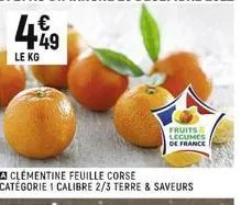 clementine feuille corse catégorie 1 calibre 2/3 terre & saveurs  fruits legumes  de france 