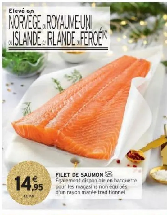 filet de saumon ß 